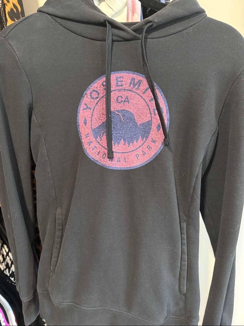 The North Face Yosemite National Park Hoodie